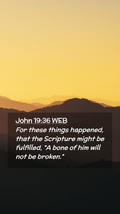 Picture 02 - John 19:36 WEB Mobile Phone Wallpaper - For these things happened, that the Scripture - Mobile Bible Verse Wallpaper
