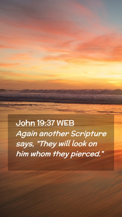 Picture 02 - John 19:37 WEB Mobile Phone Wallpaper - Again another Scripture says, 