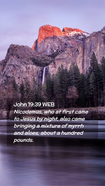 Picture 02 - John 19:39 WEB Mobile Phone Wallpaper - Nicodemus, who at first came to Jesus by night, - Mobile Bible Verse Wallpaper