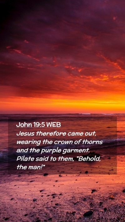 Picture 02 - John 19:5 WEB Mobile Phone Wallpaper - Jesus therefore came out, wearing the crown of - Mobile Bible Verse Wallpaper