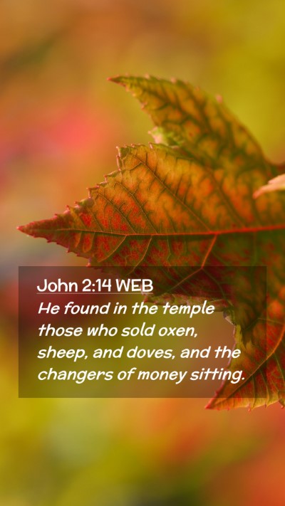 Picture 02 - John 2:14 WEB Mobile Phone Wallpaper - He found in the temple those who sold oxen, - Mobile Bible Verse Wallpaper