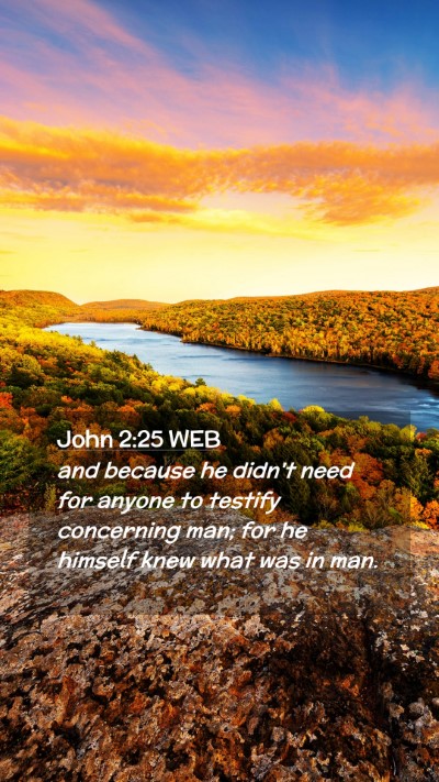 Picture 02 - John 2:25 WEB Mobile Phone Wallpaper - and because he didn't need for anyone to testify - Mobile Bible Verse Wallpaper