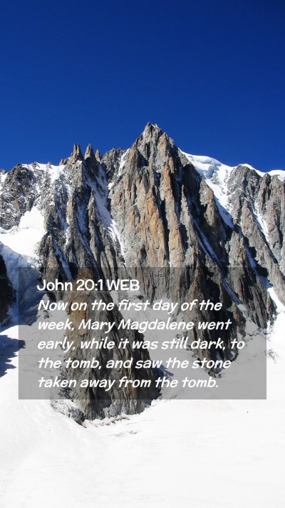 Picture 02 - John 20:1 WEB Mobile Phone Wallpaper - Now on the first day of the week, Mary Magdalene - Mobile Bible Verse Wallpaper