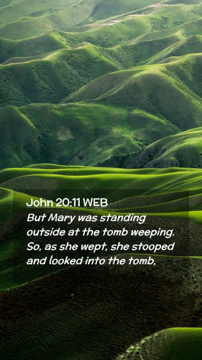 Picture 02 - John 20:11 WEB Mobile Phone Wallpaper - But Mary was standing outside at the tomb - Mobile Bible Verse Wallpaper