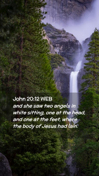 Picture 02 - John 20:12 WEB Mobile Phone Wallpaper - and she saw two angels in white sitting, one at - Mobile Bible Verse Wallpaper