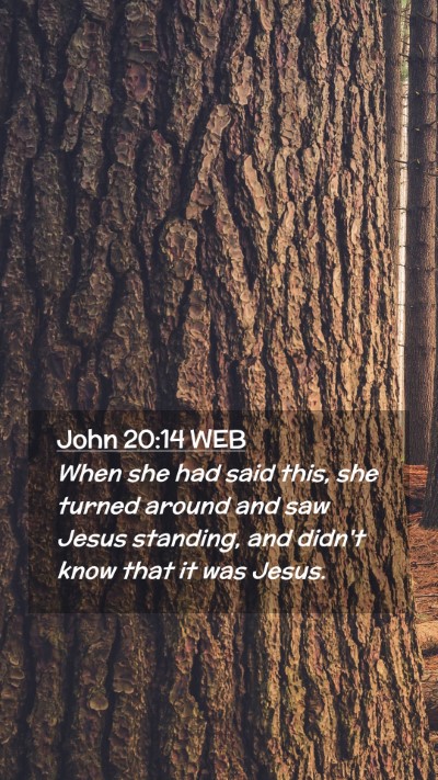 Picture 02 - John 20:14 WEB Mobile Phone Wallpaper - When she had said this, she turned around and saw - Mobile Bible Verse Wallpaper