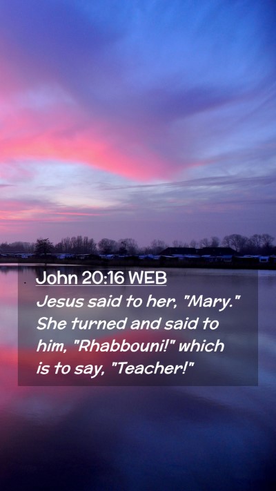 Picture 02 - John 20:16 WEB Mobile Phone Wallpaper - Jesus said to her, 