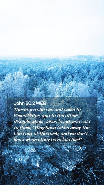 Picture 02 - John 20:2 WEB Mobile Phone Wallpaper - Therefore she ran and came to Simon Peter, and to - Mobile Bible Verse Wallpaper