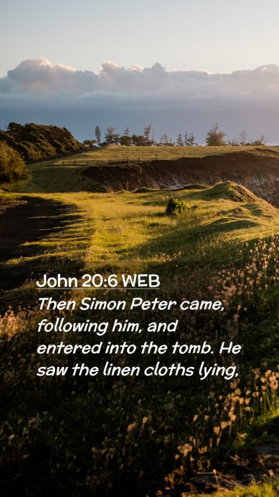 Picture 02 - John 20:6 WEB Mobile Phone Wallpaper - Then Simon Peter came, following him, and entered - Mobile Bible Verse Wallpaper