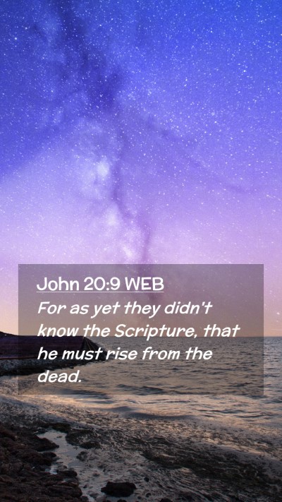 Picture 02 - John 20:9 WEB Mobile Phone Wallpaper - For as yet they didn't know the Scripture, that - Mobile Bible Verse Wallpaper