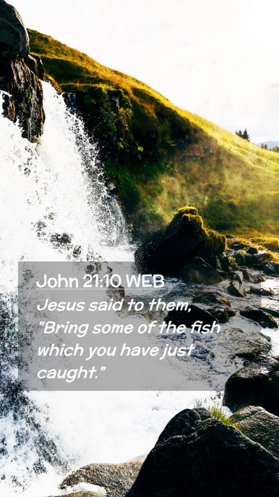 Picture 02 - John 21:10 WEB Mobile Phone Wallpaper - Jesus said to them, 