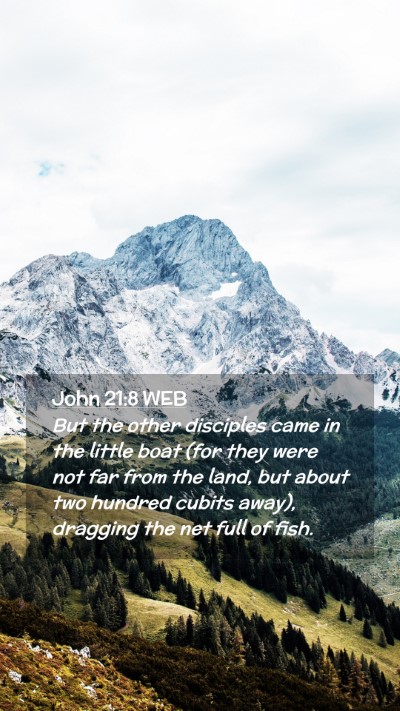Picture 02 - John 21:8 WEB Mobile Phone Wallpaper - But the other disciples came in the little boat - Mobile Bible Verse Wallpaper