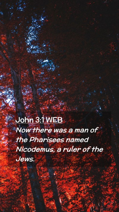 Picture 02 - John 3:1 WEB Mobile Phone Wallpaper - Now there was a man of the Pharisees named - Mobile Bible Verse Wallpaper