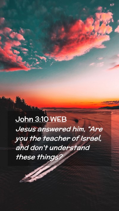 Picture 02 - John 3:10 WEB Mobile Phone Wallpaper - Jesus answered him, 