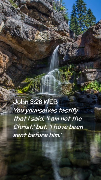 Picture 02 - John 3:28 WEB Mobile Phone Wallpaper - You yourselves testify that I said, 'I am not the - Mobile Bible Verse Wallpaper