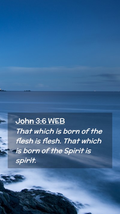 Picture 02 - John 3:6 WEB Mobile Phone Wallpaper - That which is born of the flesh is flesh. That - Mobile Bible Verse Wallpaper