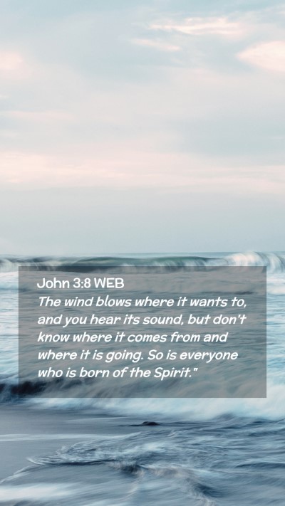 Picture 02 - John 3:8 WEB Mobile Phone Wallpaper - The wind blows where it wants to, and you hear - Mobile Bible Verse Wallpaper