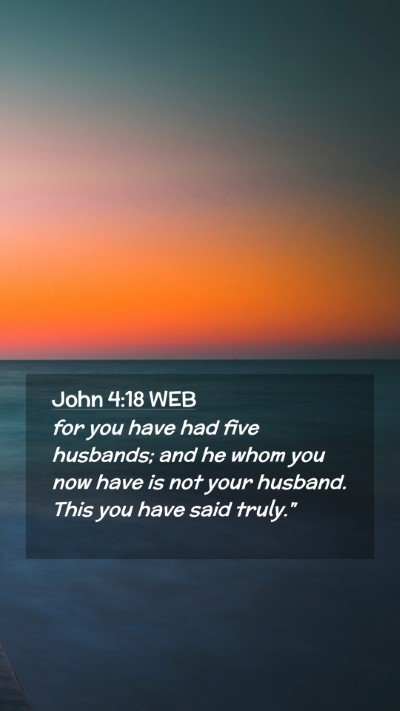 Picture 02 - John 4:18 WEB Mobile Phone Wallpaper - for you have had five husbands; and he whom you - Mobile Bible Verse Wallpaper