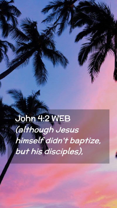 Picture 02 - John 4:2 WEB Mobile Phone Wallpaper - (although Jesus himself didn't baptize, but his - Mobile Bible Verse Wallpaper
