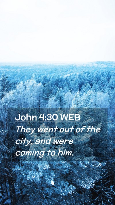 Picture 02 - John 4:30 WEB Mobile Phone Wallpaper - They went out of the city, and were coming to - Mobile Bible Verse Wallpaper