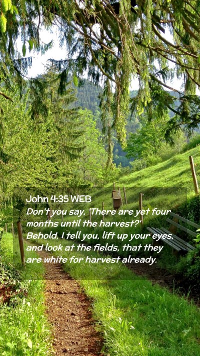Picture 02 - John 4:35 WEB Mobile Phone Wallpaper - Don't you say, 'There are yet four months until - Mobile Bible Verse Wallpaper