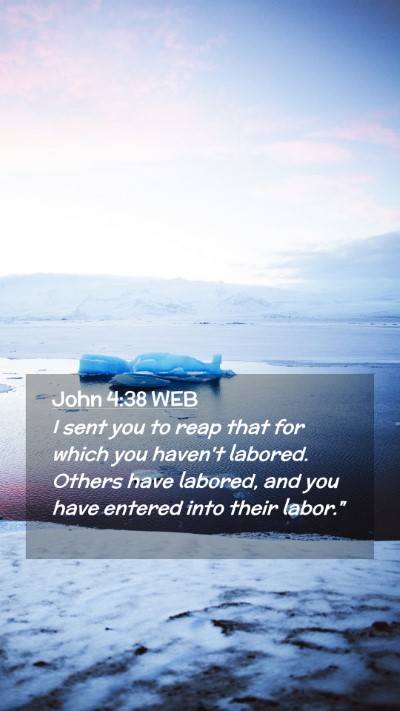 Picture 02 - John 4:38 WEB Mobile Phone Wallpaper - I sent you to reap that for which you haven't - Mobile Bible Verse Wallpaper