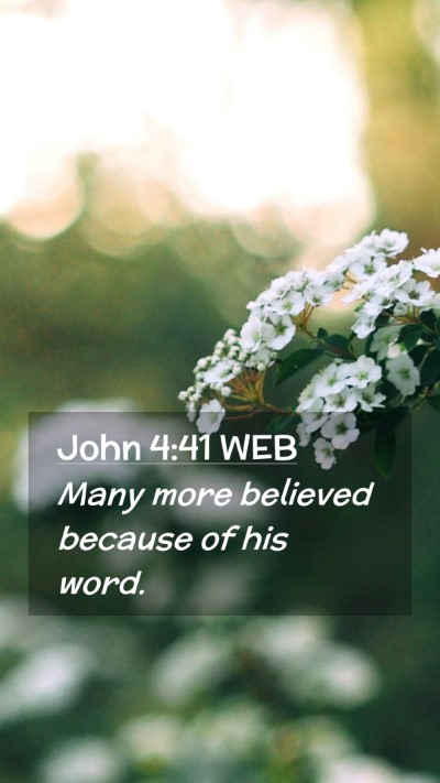 Picture 02 - John 4:41 WEB Mobile Phone Wallpaper - Many more believed because of his - Mobile Bible Verse Wallpaper