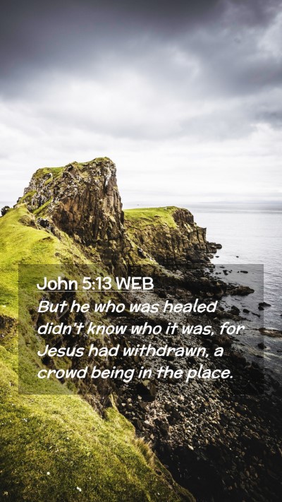 Picture 02 - John 5:13 WEB Mobile Phone Wallpaper - But he who was healed didn't know who it was, for - Mobile Bible Verse Wallpaper