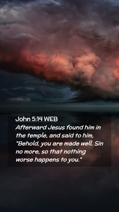 Picture 02 - John 5:14 WEB Mobile Phone Wallpaper - Afterward Jesus found him in the temple, and said - Mobile Bible Verse Wallpaper