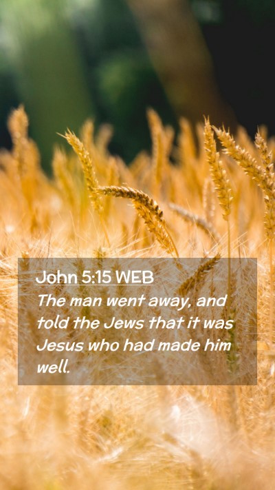 Picture 02 - John 5:15 WEB Mobile Phone Wallpaper - The man went away, and told the Jews that it was - Mobile Bible Verse Wallpaper