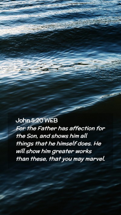 Picture 02 - John 5:20 WEB Mobile Phone Wallpaper - For the Father has affection for the Son, and - Mobile Bible Verse Wallpaper