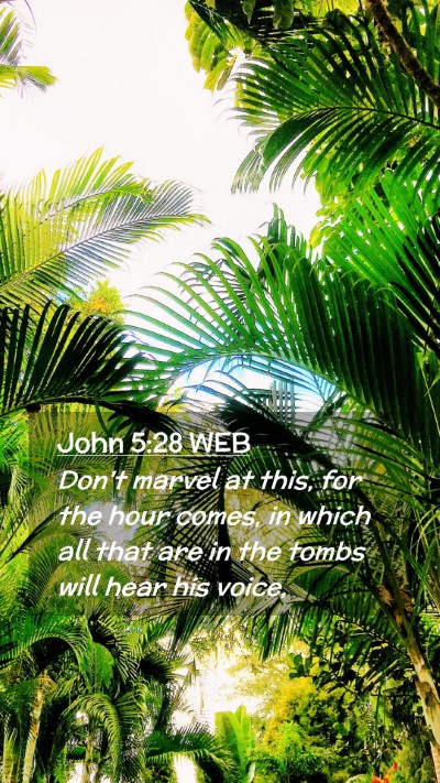 Picture 02 - John 5:28 WEB Mobile Phone Wallpaper - Don't marvel at this, for the hour comes, in - Mobile Bible Verse Wallpaper