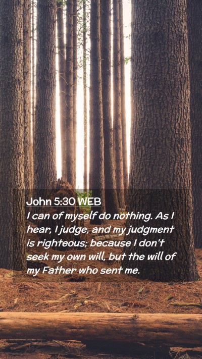 Picture 02 - John 5:30 WEB Mobile Phone Wallpaper - I can of myself do nothing. As I hear, I judge, - Mobile Bible Verse Wallpaper