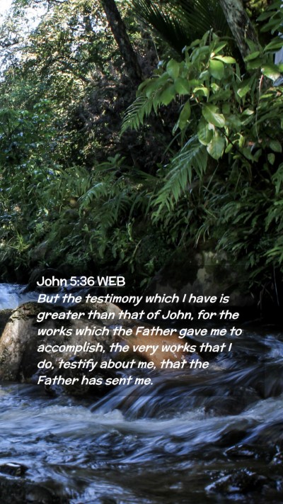 Picture 02 - John 5:36 WEB Mobile Phone Wallpaper - But the testimony which I have is greater than - Mobile Bible Verse Wallpaper