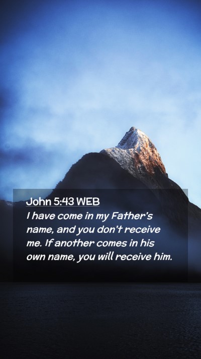 Picture 02 - John 5:43 WEB Mobile Phone Wallpaper - I have come in my Father's name, and you don't - Mobile Bible Verse Wallpaper