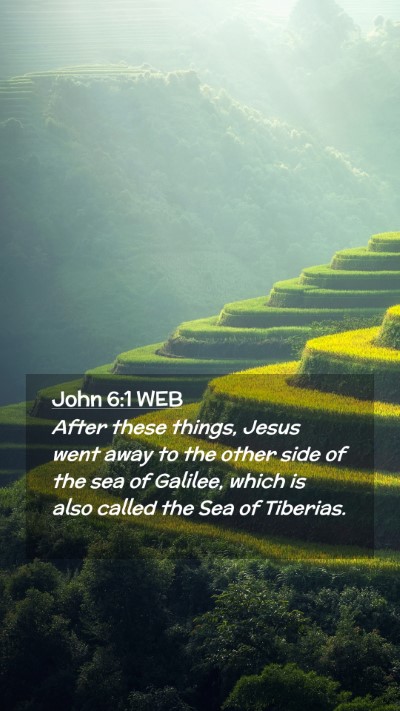 Picture 02 - John 6:1 WEB Mobile Phone Wallpaper - After these things, Jesus went away to the other - Mobile Bible Verse Wallpaper