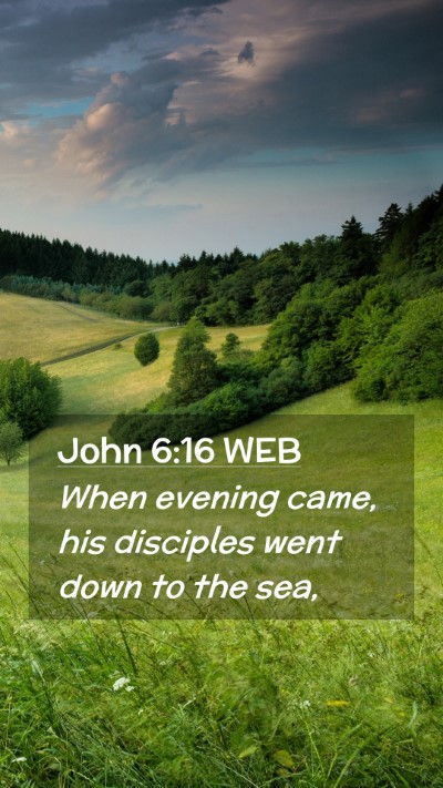 Picture 02 - John 6:16 WEB Mobile Phone Wallpaper - When evening came, his disciples went down to the - Mobile Bible Verse Wallpaper