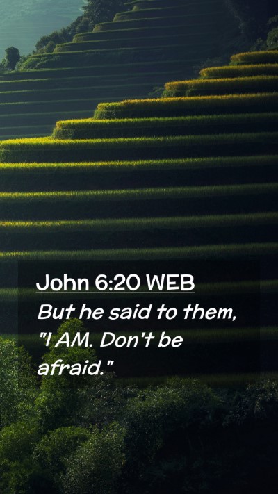 Picture 02 - John 6:20 WEB Mobile Phone Wallpaper - But he said to them, 