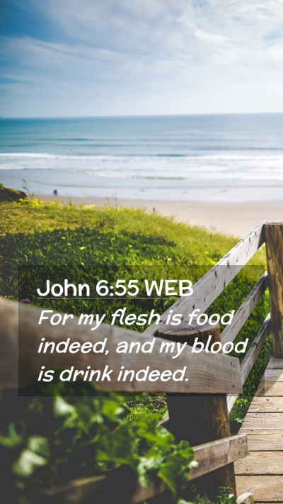 Picture 02 - John 6:55 WEB Mobile Phone Wallpaper - For my flesh is food indeed, and my blood is - Mobile Bible Verse Wallpaper