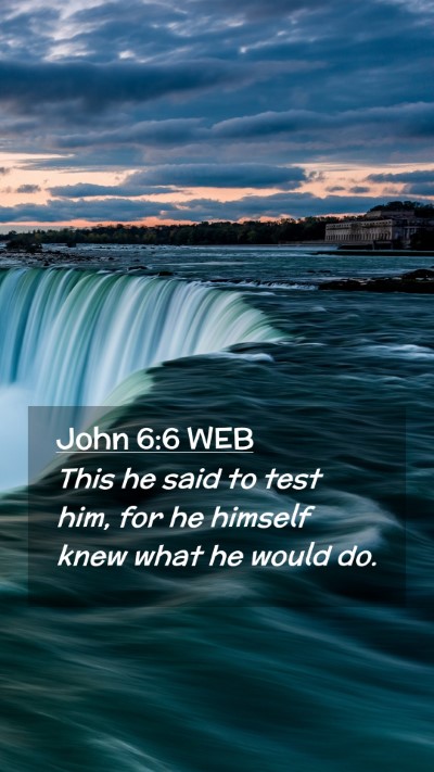 Picture 02 - John 6:6 WEB Mobile Phone Wallpaper - This he said to test him, for he himself knew - Mobile Bible Verse Wallpaper