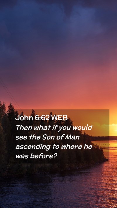 Picture 02 - John 6:62 WEB Mobile Phone Wallpaper - Then what if you would see the Son of Man - Mobile Bible Verse Wallpaper