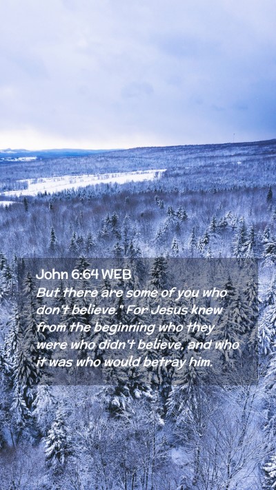 Picture 02 - John 6:64 WEB Mobile Phone Wallpaper - But there are some of you who don't believe.