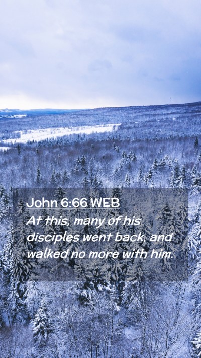 Picture 02 - John 6:66 WEB Mobile Phone Wallpaper - At this, many of his disciples went back, and - Mobile Bible Verse Wallpaper