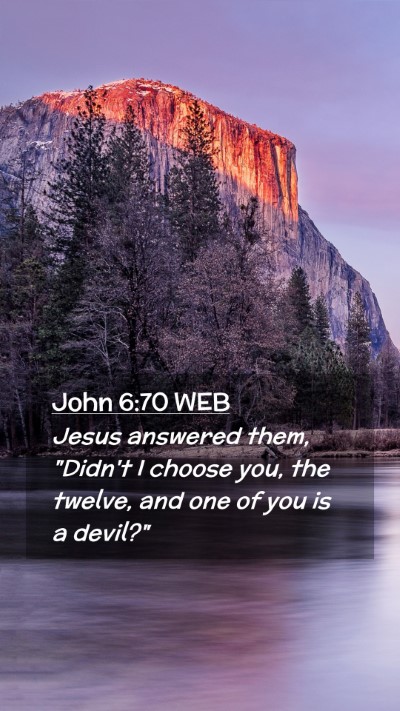 Picture 02 - John 6:70 WEB Mobile Phone Wallpaper - Jesus answered them, 