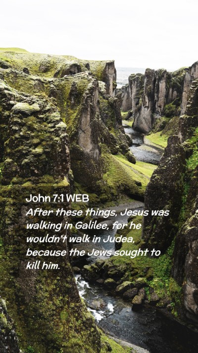 Picture 02 - John 7:1 WEB Mobile Phone Wallpaper - After these things, Jesus was walking in Galilee, - Mobile Bible Verse Wallpaper