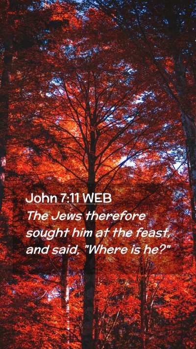 Picture 02 - John 7:11 WEB Mobile Phone Wallpaper - The Jews therefore sought him at the feast, and - Mobile Bible Verse Wallpaper