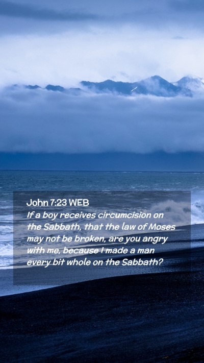 Picture 02 - John 7:23 WEB Mobile Phone Wallpaper - If a boy receives circumcision on the Sabbath, - Mobile Bible Verse Wallpaper