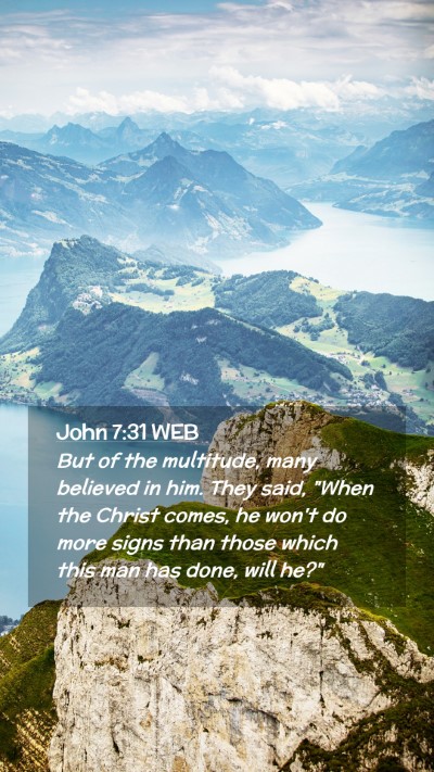 Picture 02 - John 7:31 WEB Mobile Phone Wallpaper - But of the multitude, many believed in him. They - Mobile Bible Verse Wallpaper