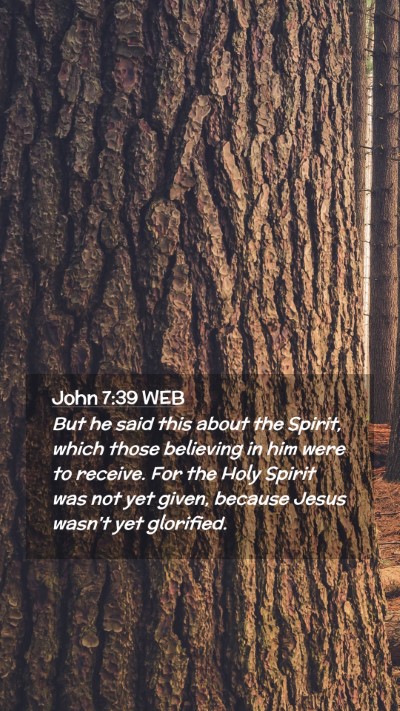 Picture 02 - John 7:39 WEB Mobile Phone Wallpaper - But he said this about the Spirit, which those - Mobile Bible Verse Wallpaper