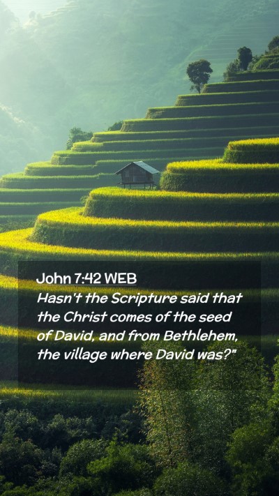 Picture 02 - John 7:42 WEB Mobile Phone Wallpaper - Hasn't the Scripture said that the Christ comes - Mobile Bible Verse Wallpaper